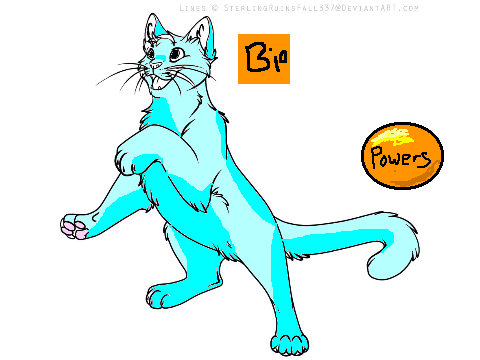 Create a warrior cat entery