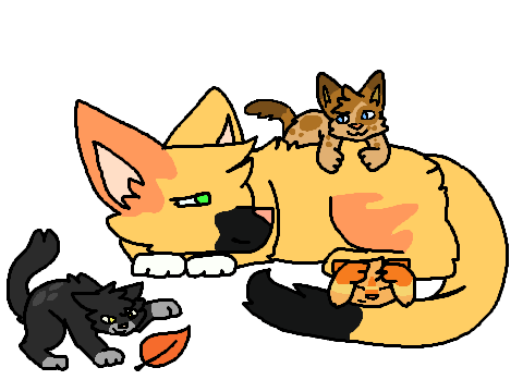 My warrior cat OC! 