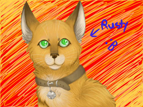 Sashimi-Chan's Cat Coloring Contest 2014 - Oran style