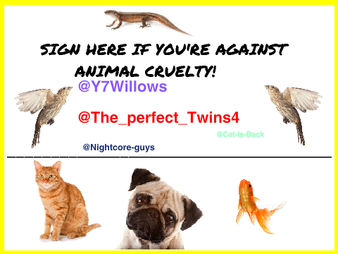 Sign If You're Against Animal Cruelty remix remix remix
