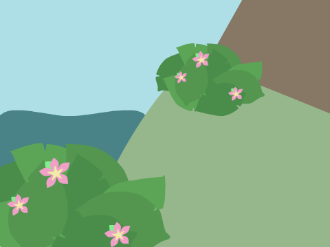 Moana MAP part 1