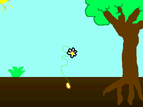Growing flower