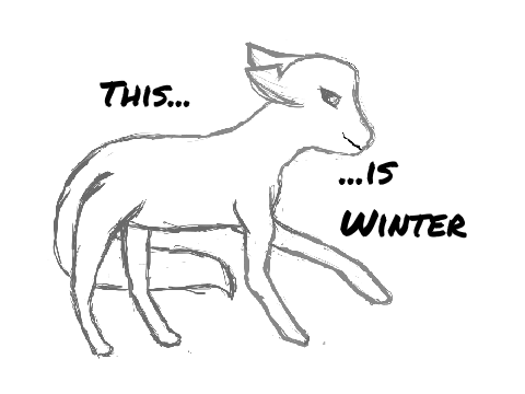 Introducing Winter