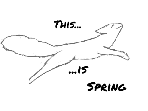 Introducing Spring