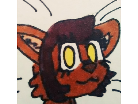 Pig the cat