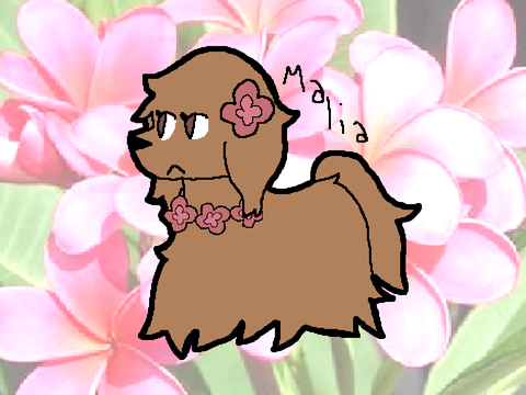 ✪DTA for 100+ Followers!! (CLOSED)✪