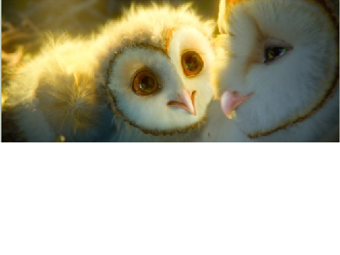 25 Eglantine pictures from legend of the gaurdians