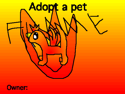 pet adoption 1