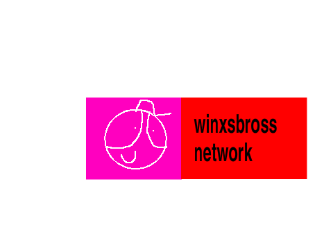 new channel winxsbross network