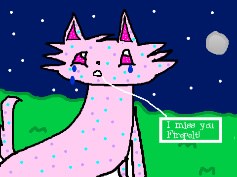 Cat Comp remix