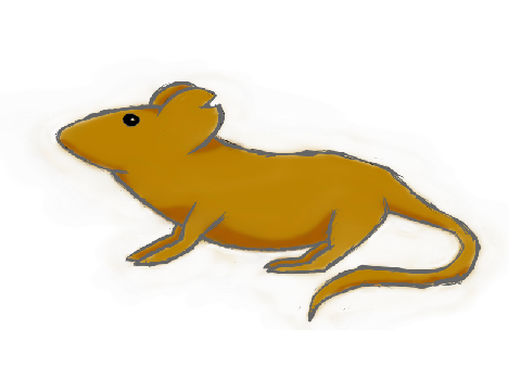 Mouse