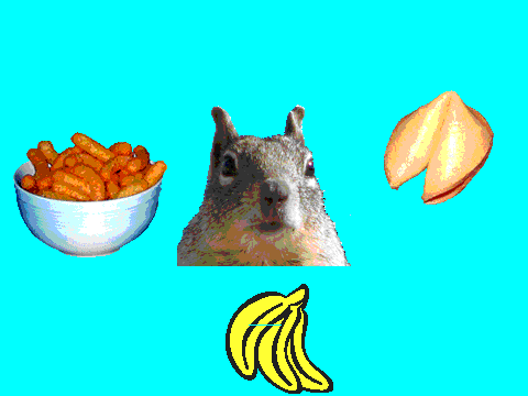 food with squirrel