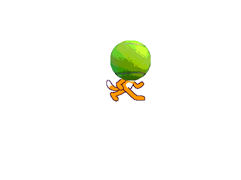 tennisball cat