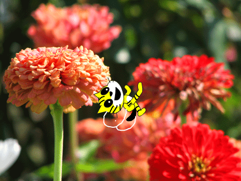 "BEE" PREPARED