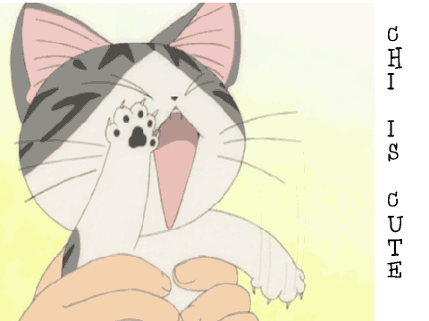 Chi is Cute!