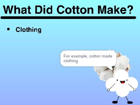 The Silk Road Imports: Cotton