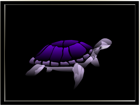 Whispy Ghost Turtle