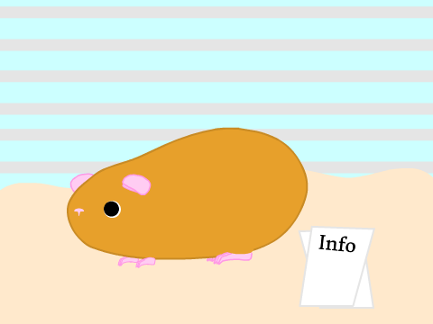 Adoptable Guinea Pig! (Eggo)
