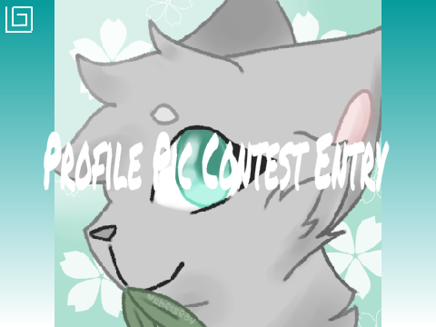 @chelseay's Entry