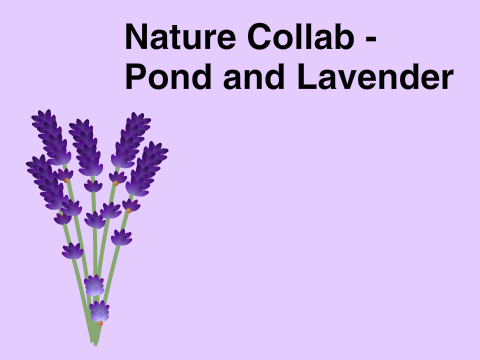 Nature Collab - Lavender and Pond