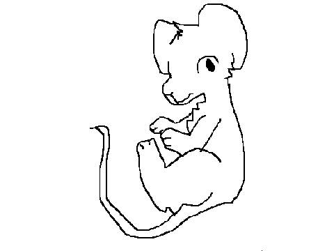 Mouse... (read description)