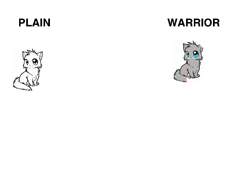 PLAIN VS WARRIOR