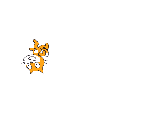 run cat run!