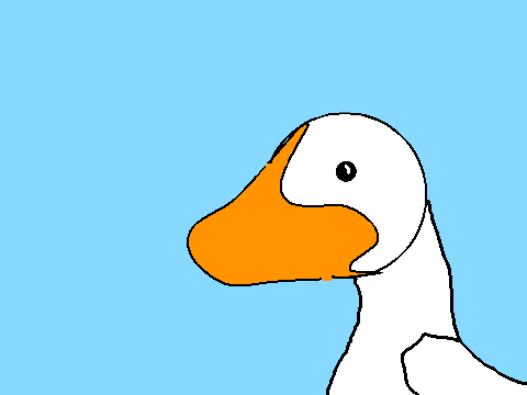 duck