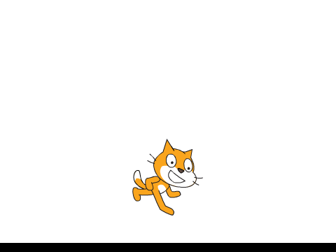 Random Bouncing Cat