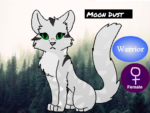 Warrior Cats Generator    
