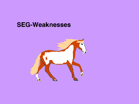SEG- weaknesses
