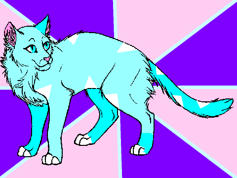 Cat Coloring contest! entry 2