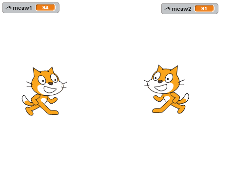 cat vs cat!