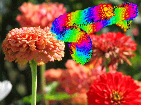 COLOR BOMB!!!!!
