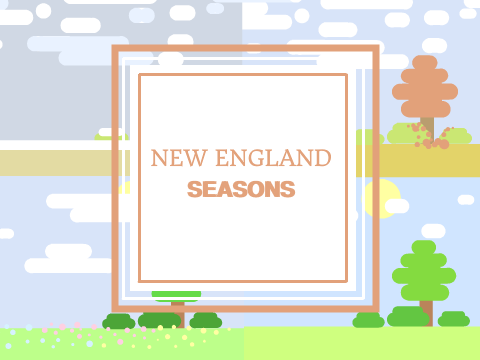 New England Seasons