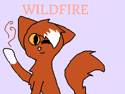 Wildfire