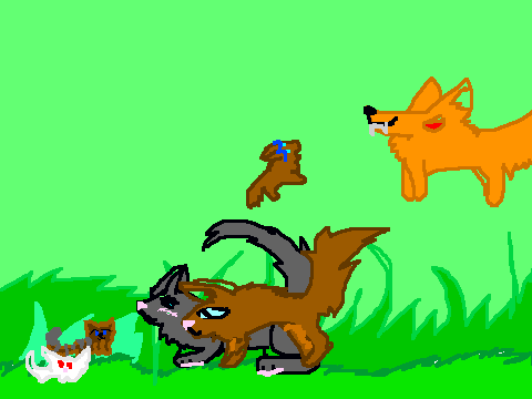 The Family - Based off of greystripe
