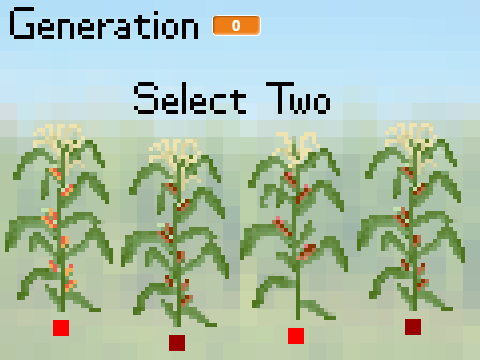 Artificial Selection of Corn - Biology Project
