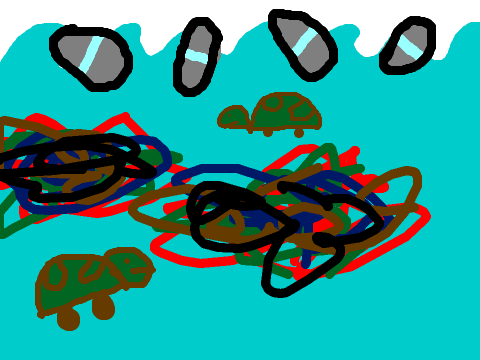 Pacific garbage patch