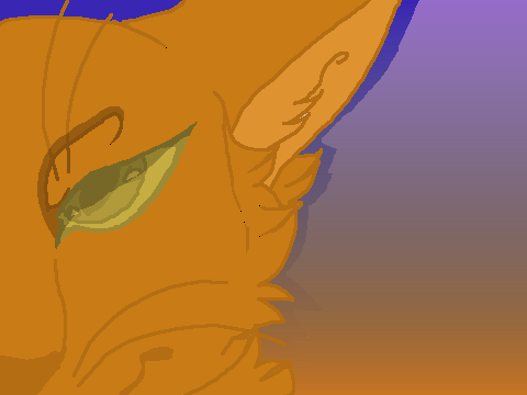 ~Gold~ CCE