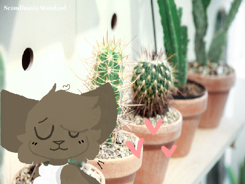 ★ please read + hiatus ★