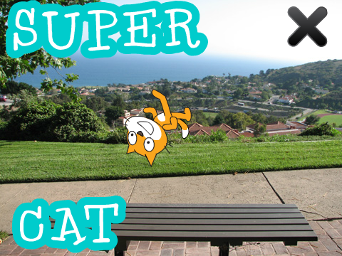 SUPER CAT !  ! !