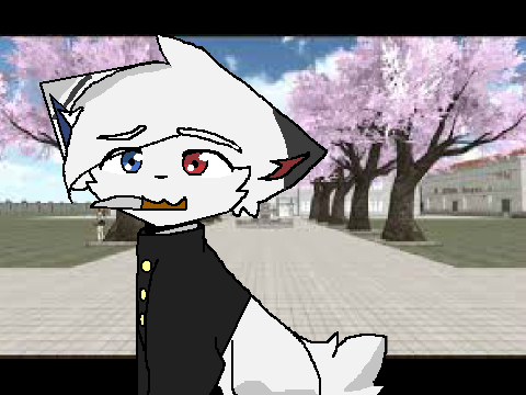 .+ DTAE +.