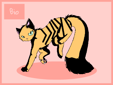Peachkit