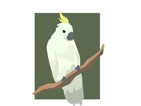 Art #2 - Cockatoo