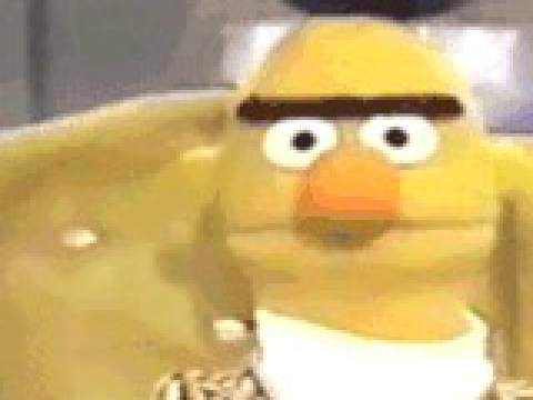 Bert Stares into mine soul 