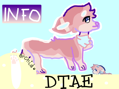 DTAE 