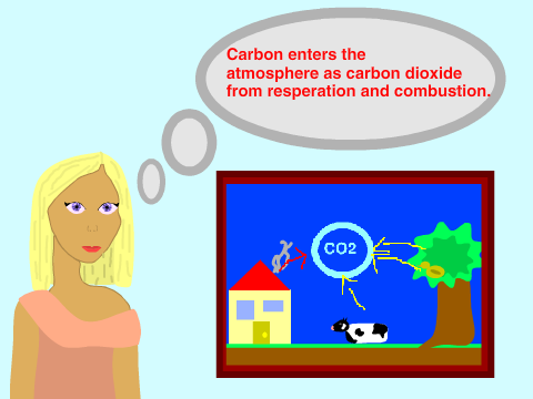 Carbon Cycle ~ Science Homework