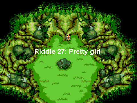 Riddle 27 Pretty girl