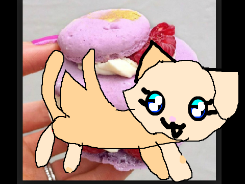 Scorchtail32's mashpotato cat oc 